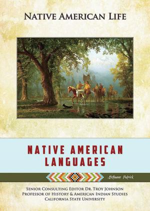 Cover of the book Native American Languages by Helen Thompson