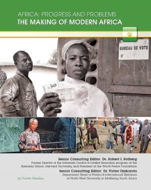 bigCover of the book The Making of Modern Africa by 