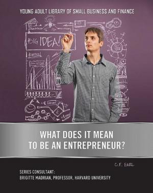 Cover of the book What Does It Mean to Be an Entrepreneur? by Rosa Waters