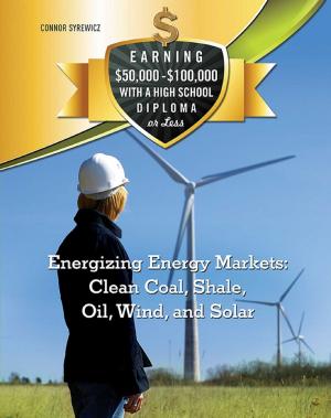 Book cover of Energizing Energy Markets: Clean Coal, Shale, Oil, Wind, and Solar