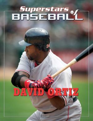 Cover of the book David Ortiz by Roger E. Hernandez