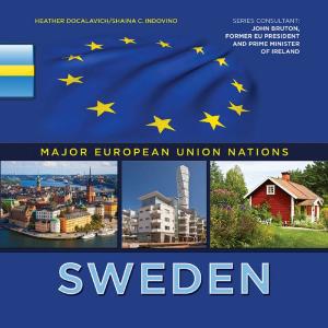 Cover of the book Sweden by Steve B. Woodruff