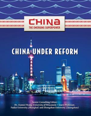 Cover of the book China Under Reform by Challenge Self