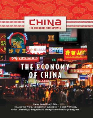 bigCover of the book The Economy of China by 
