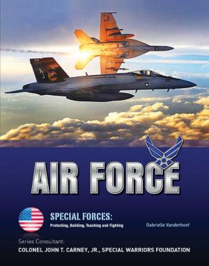 Cover of the book Air Force by James Fischer