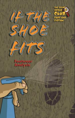 Cover of the book If the Shoe Fits by Kim Etingoff