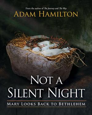 Cover of the book Not a Silent Night by James A. Harnish