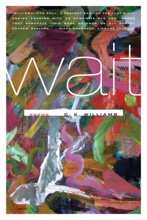 Book cover of Wait