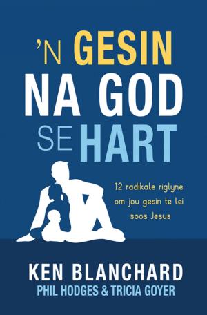 Cover of the book n Gesin na God se hart (eBoek) by Nina Smit