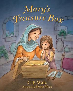 Cover of the book Mary's Treasure Box by Brad J. Waggoner