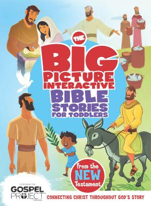 Cover of the book The Big Picture Interactive Bible Stories for Toddlers New Testament by Ed Hindson, Elmer L. Towns