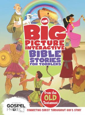 Cover of the book The Big Picture Interactive Bible Stories for Toddlers Old Testament by Marian Jordan