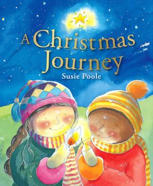Book cover of A Christmas Journey