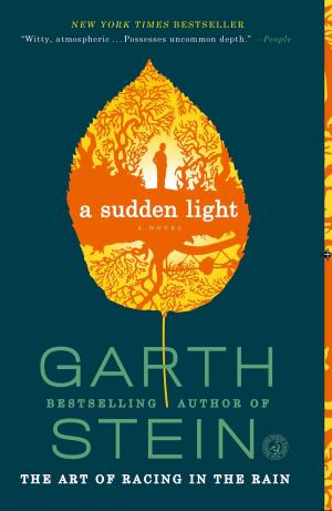 bigCover of the book A Sudden Light by 