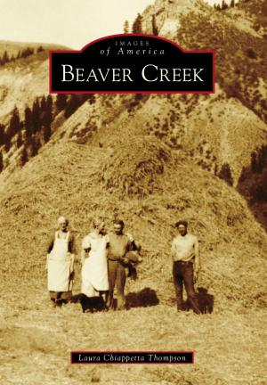 Cover of the book Beaver Creek by Eileen McHugh, Cayuga Museum