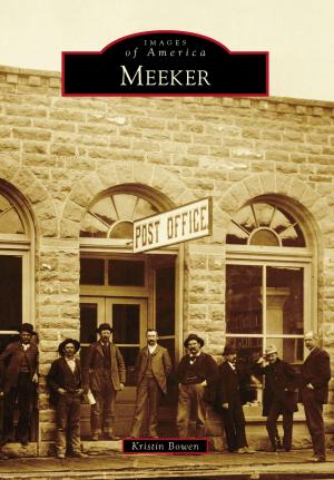 Cover of the book Meeker by Mark Rucker, John Freyer