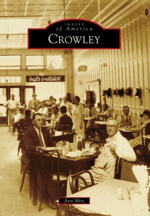Cover of the book Crowley by T. Irwin Sessions
