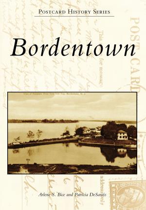 Cover of the book Bordentown by Patricia Garbe-Morillo