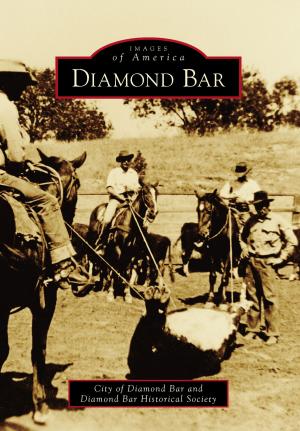 Cover of the book Diamond Bar by James Collett