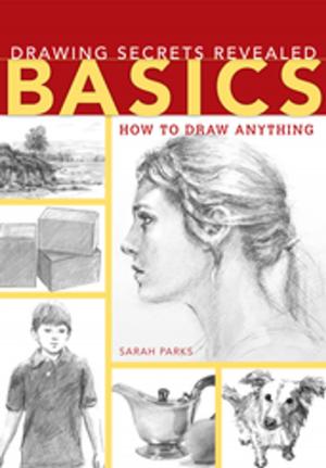 Cover of the book Drawing Secrets Revealed - Basics by John Salminen