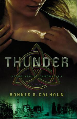 Cover of the book Thunder (Stone Braide Chronicles Book #1) by Shelly Goodman Wright