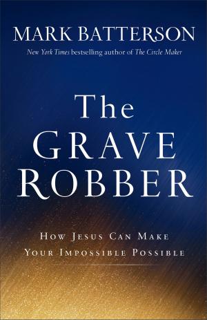 Cover of the book The Grave Robber by Evan B. Howard