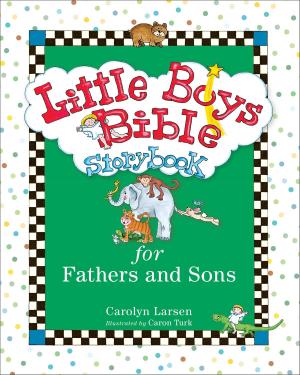 Book cover of Little Boys Bible Storybook for Fathers and Sons
