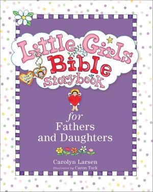 Book cover of Little Girls Bible Storybook for Fathers and Daughters