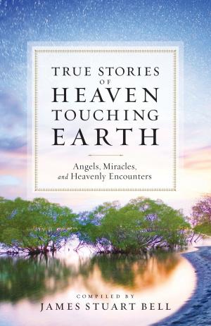 Cover of the book Heaven Touching Earth by Leslie Gould