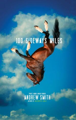Cover of the book 100 Sideways Miles by Jeff Newman