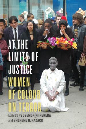 Cover of the book At the Limits of Justice by Robert Clegg Austin