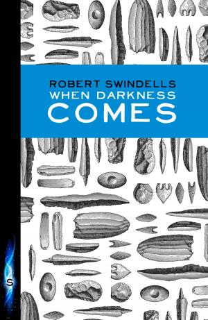 Cover of the book When Darkness Comes by Jenny Oldfield