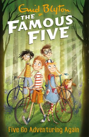 Book cover of Five Go Adventuring Again