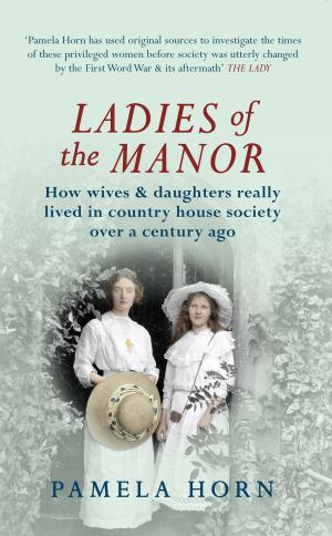 Cover of the book Ladies of the Manor by Roger MacCallum