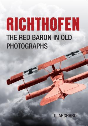 Cover of the book Richthofen by David Beare