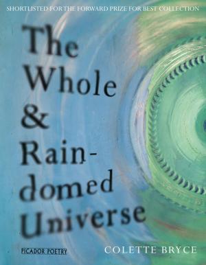 Cover of the book The Whole & Rain-domed Universe by Irene Kelly, Jennifer Kelly, Matt Kelly