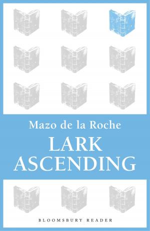 Cover of the book Lark Ascending by John Freely