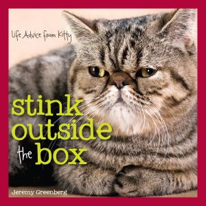 Cover of the book Stink Outside the Box by The Awkward Yeti, Nick Seluk