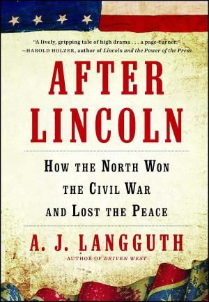 Cover of the book After Lincoln by Brian Grazer