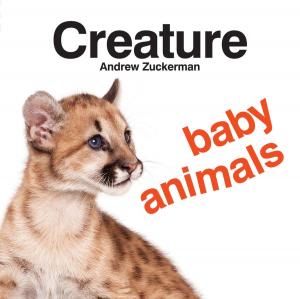 Cover of the book Creature Baby Animals by Anne Gutman, Georg Hallensleben