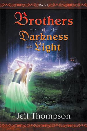 Cover of the book Brothers of Darkness and Light by E. Mann