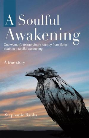 Cover of the book A Soulful Awakening by James Alfred Bradford