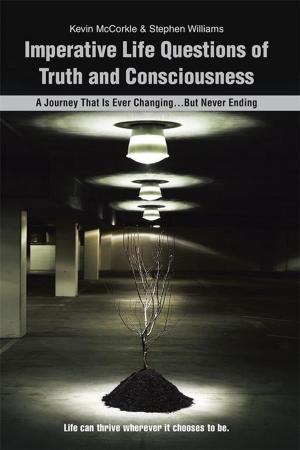 Cover of the book Imperative Life Questions of Truth and Consciousness by Cher Slater-Barlevi
