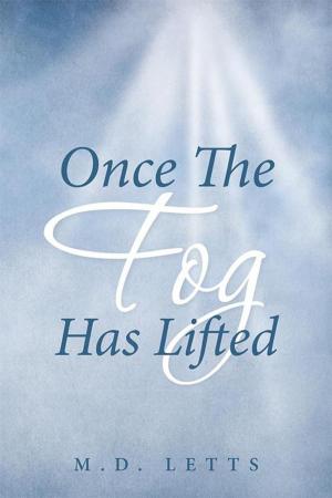 Cover of the book Once the Fog Has Lifted by Marcia Newman