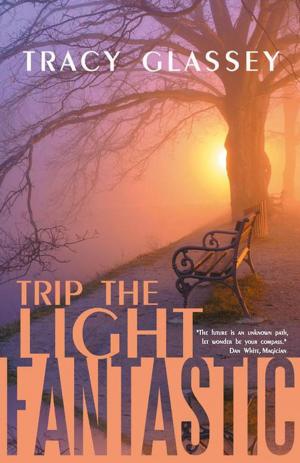 Cover of the book Trip the Light Fantastic by Jennifer J. Barlow