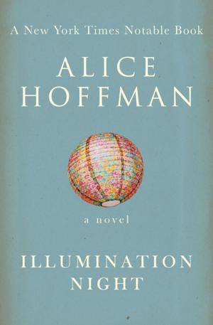Book cover of Illumination Night