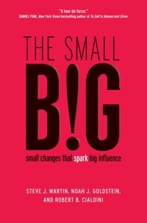 Book cover of The small BIG