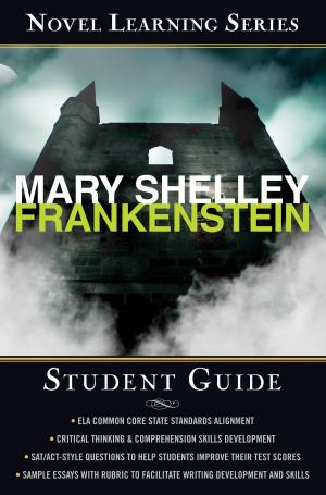 Cover of the book Frankenstein by JB Salsbury