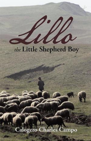 Cover of the book Lillo the Little Shepherd Boy by Steve Krueger