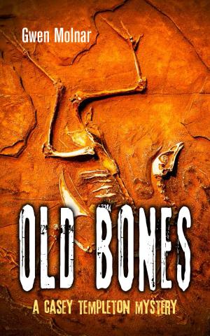 Cover of the book Old Bones by Marilyn M. Litvak